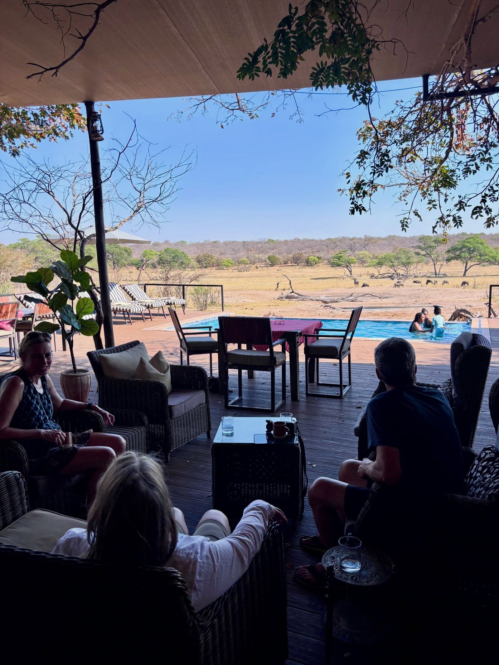 Besucherfoto einer Tour in Hwange-Nationalpark