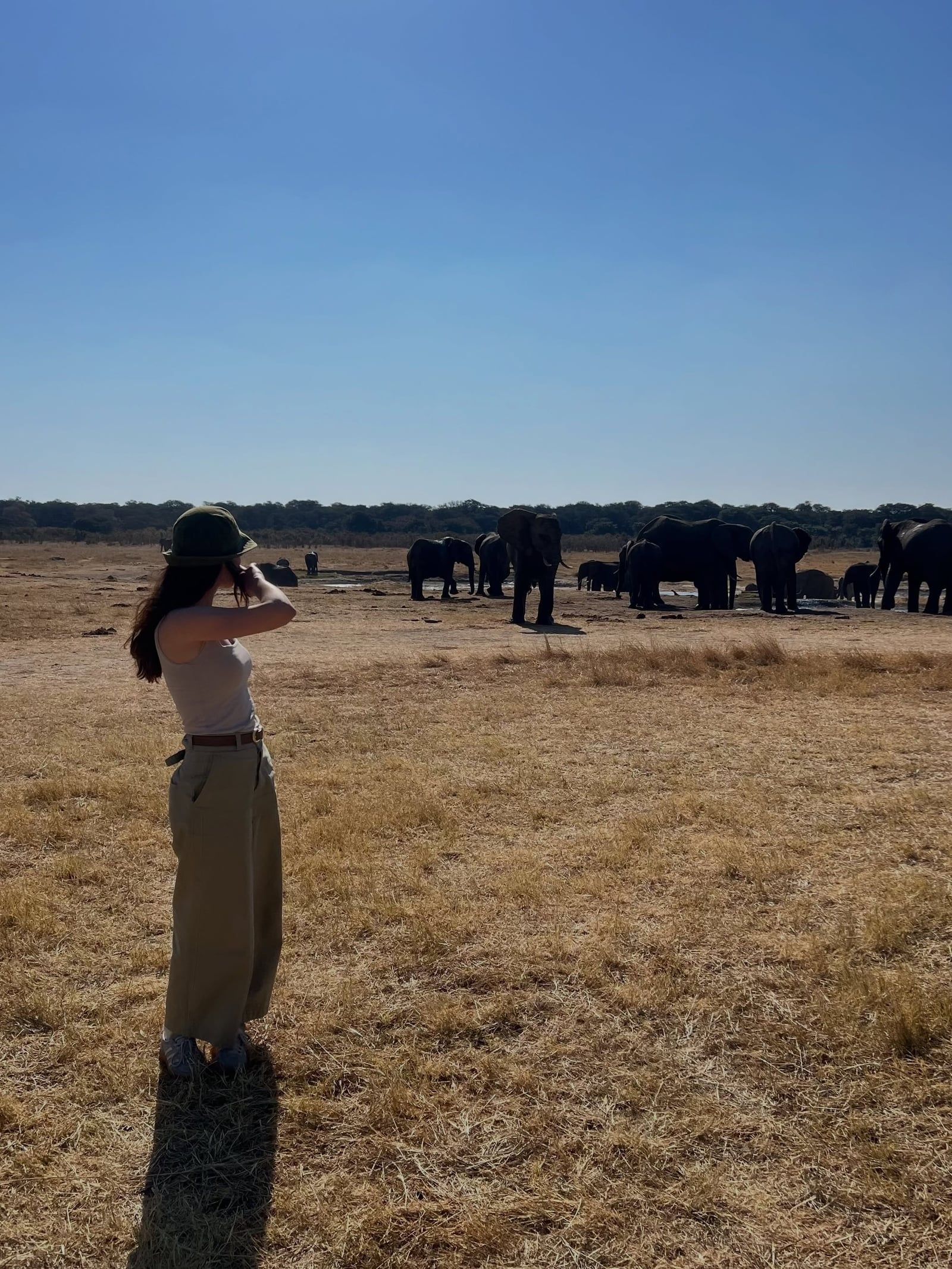 Besucherfoto einer Tour in Hwange-Nationalpark